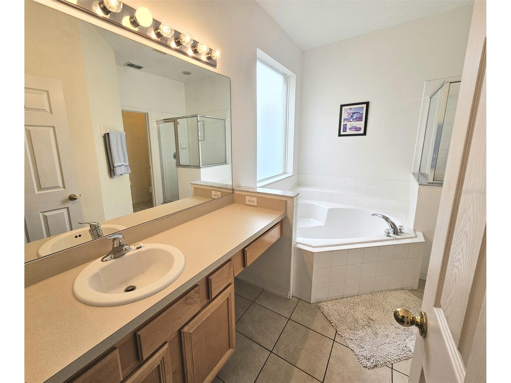 207 Hideaway Beach Lane Kissimmee FL 34746 S5151084 image12