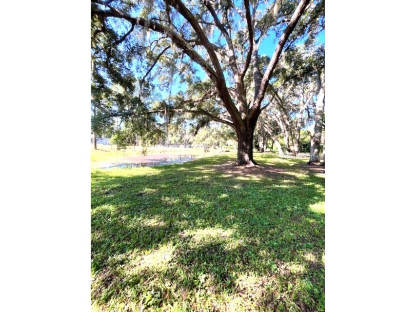 207 Ketch Road Saint Cloud FL 34771 S5138507 image21