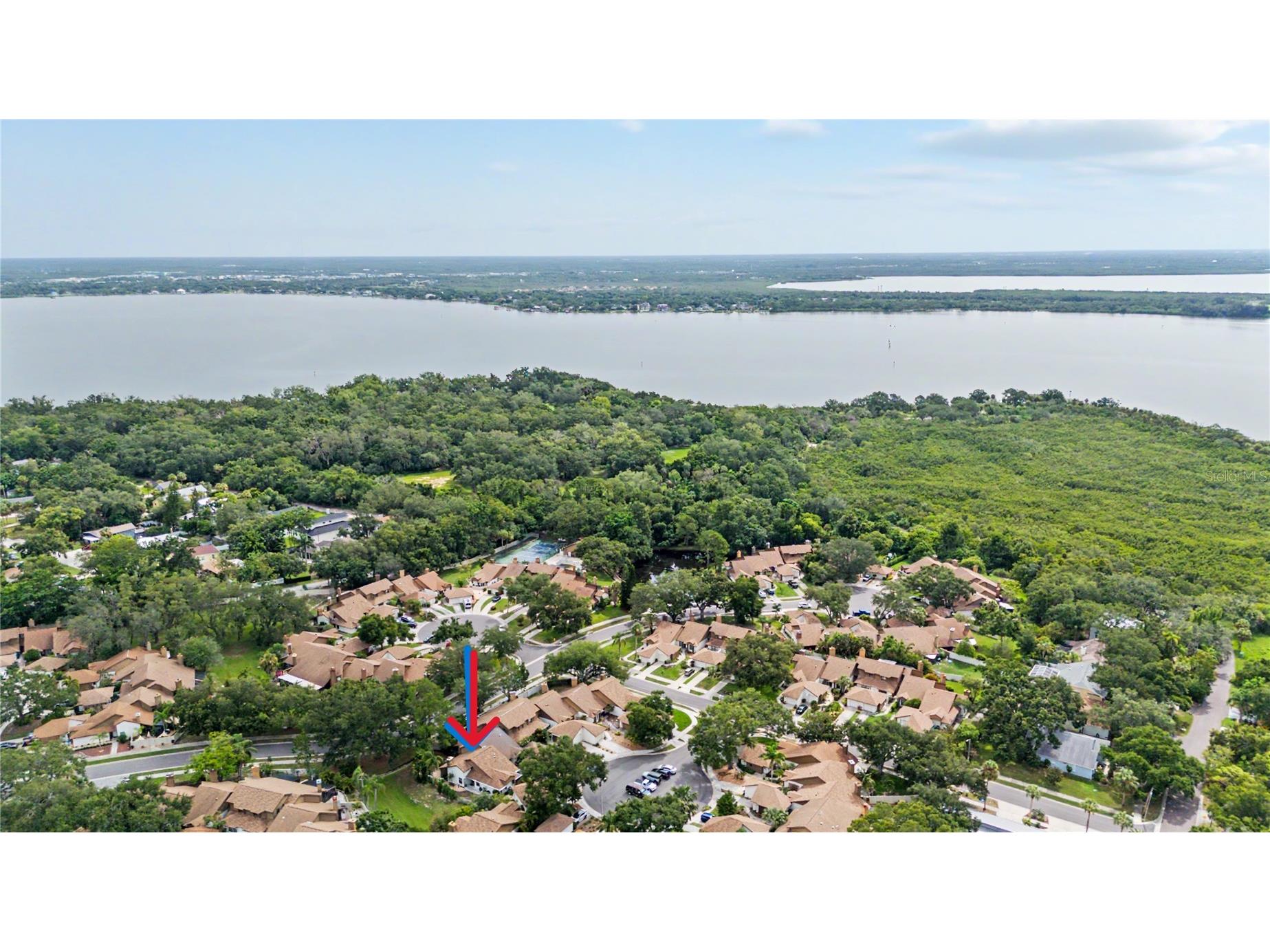 207 Lighthouse Court Safety Harbor FL 34695 TB8529664 image2