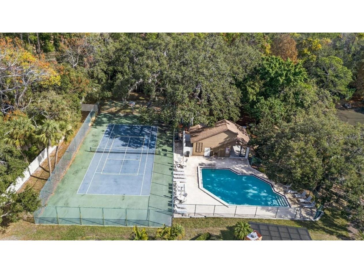 207 Lighthouse Court Safety Harbor FL 34695 TB8529664 image33