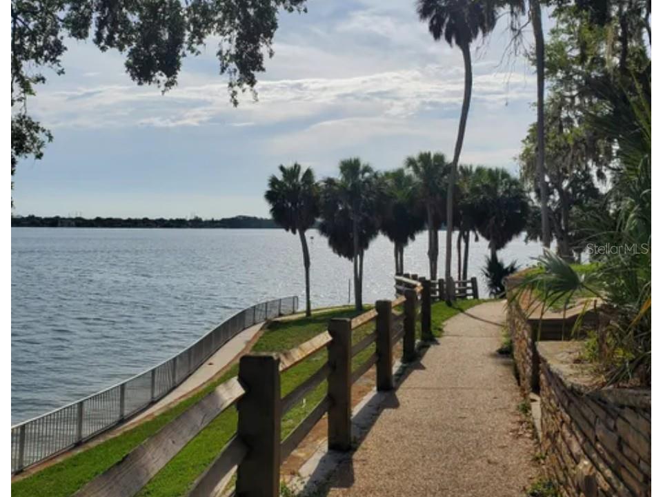 207 Lighthouse Court Safety Harbor FL 34695 TB8529664 image35