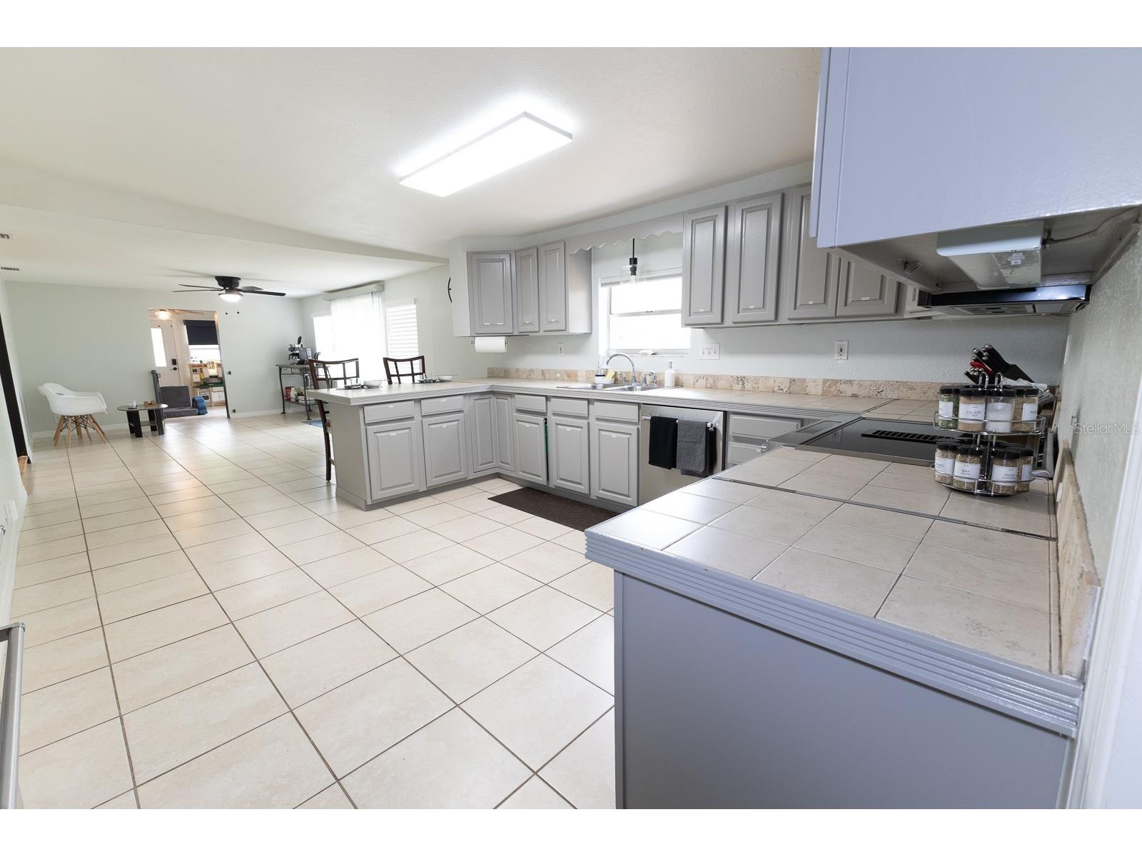 207 Mandarin Ln Fruitland Park FL 34731 G5110195 image44