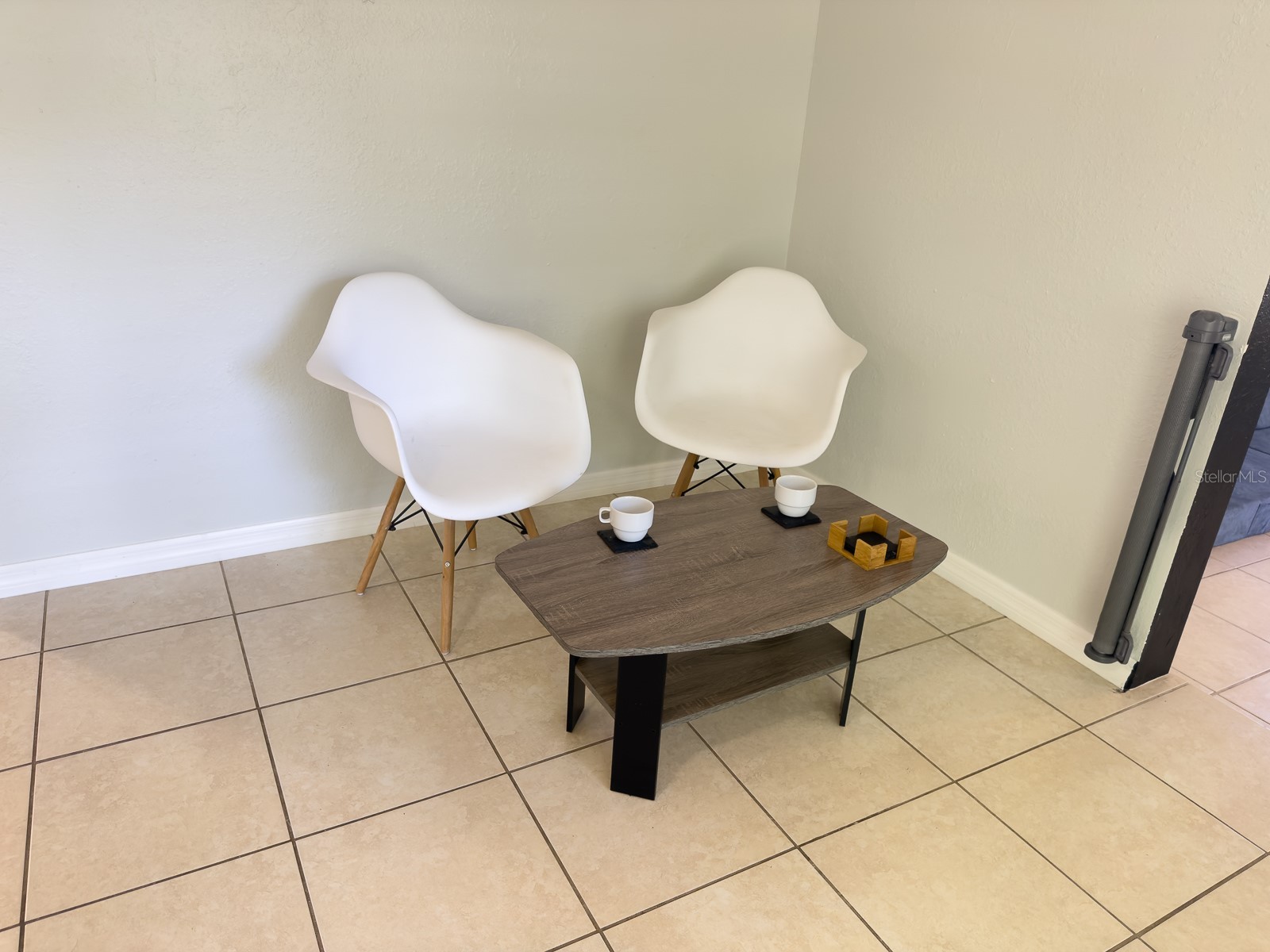 207 Mandarin Ln Fruitland Park FL 34731 G5110195 image49