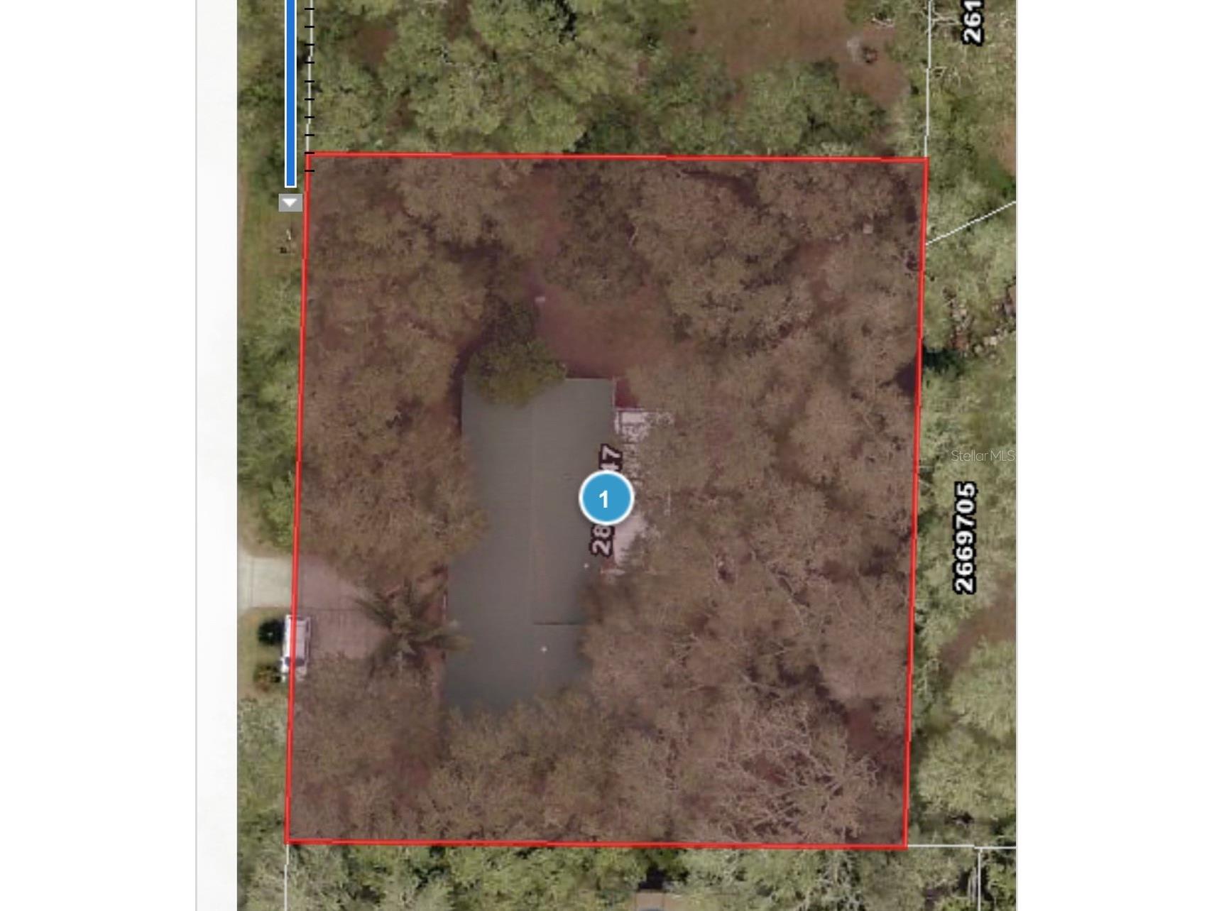 207 Mandarin Ln Fruitland Park FL 34731 G5110195 image77