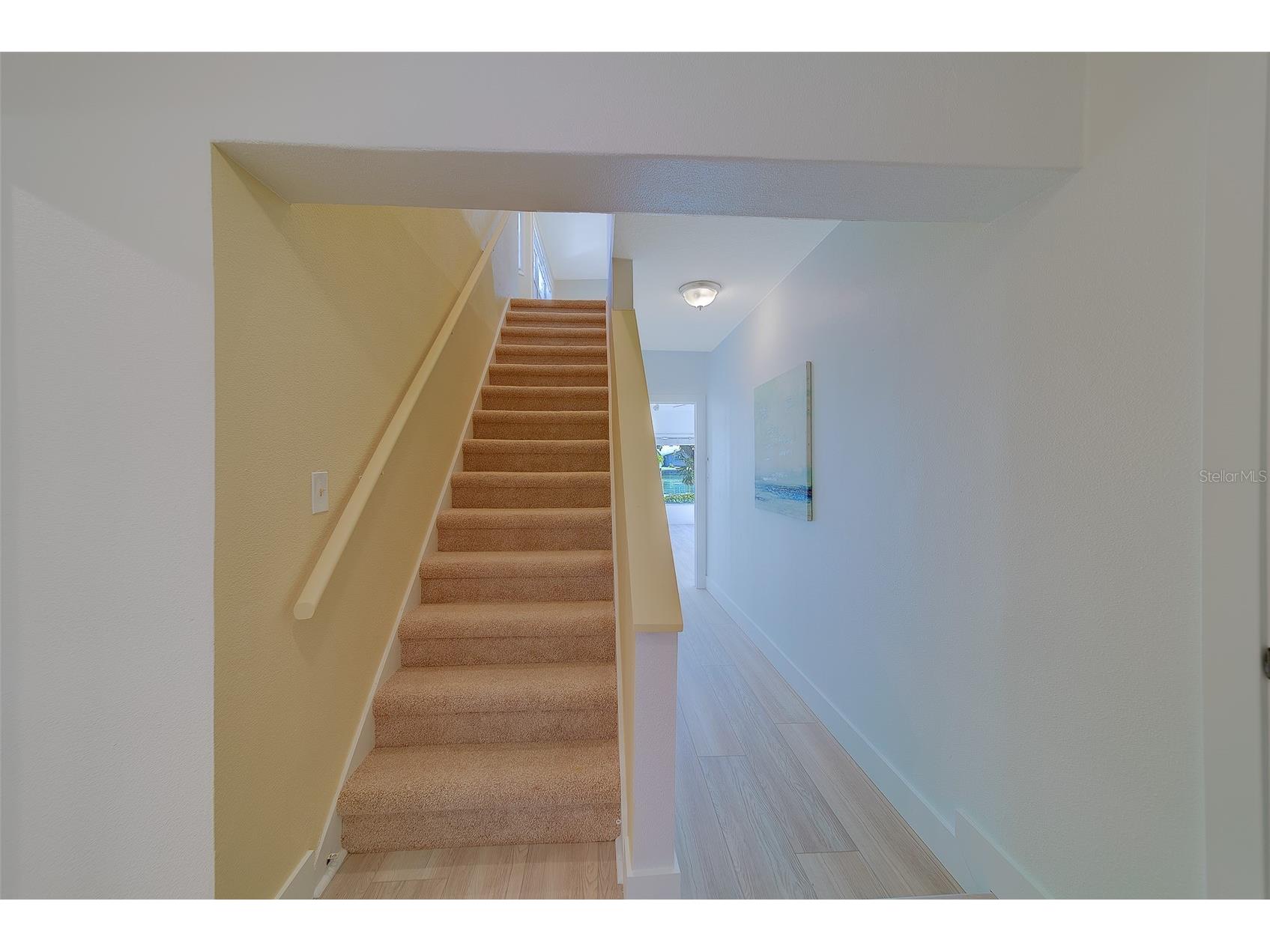 207 Midway Island Clearwater Beach FL 33767 TB8467513 image36