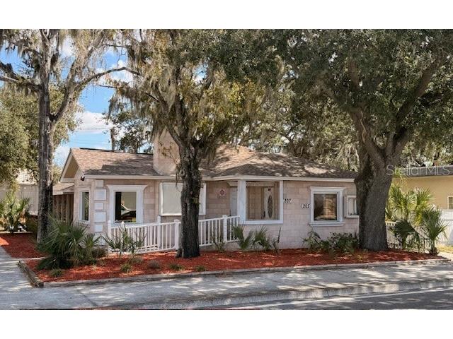 207 N Church Avenue #207 Mulberry FL 33860 B4902204 image1