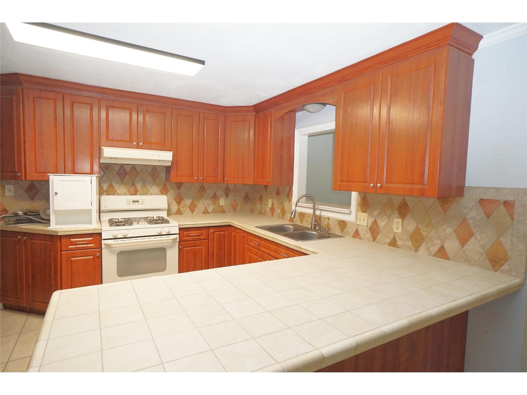 207 N Gomez Avenue Tampa FL 33609 TB8524833 image4