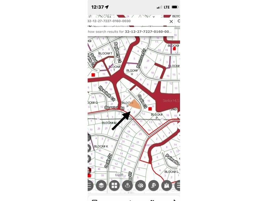 207 Ocala Court Georgetown FL 32139 V4945442 image1