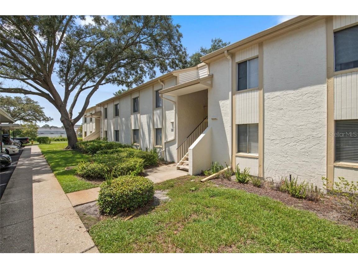 207 Palmetto Court Oldsmar FL 34677 U8235146 image1