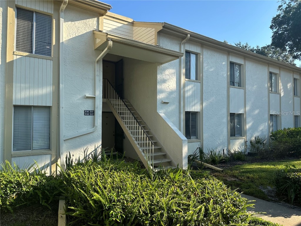 207 Palmetto Court Oldsmar FL 34677 TB8452612 image1