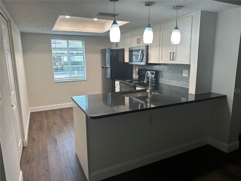 207 Palmetto Court Oldsmar FL 34677 TB8452612 image10