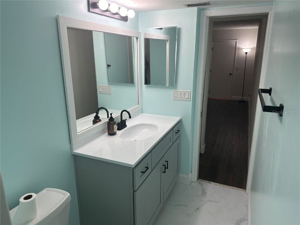 207 Palmetto Court Oldsmar FL 34677 TB8452612 image20