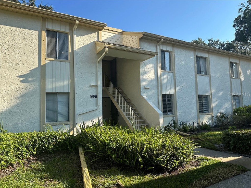 207 Palmetto Court Oldsmar FL 34677 TB8452612 image28