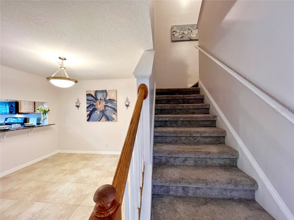 207 Penmark Stone Place Valrico FL 33594 TB8427600 image10