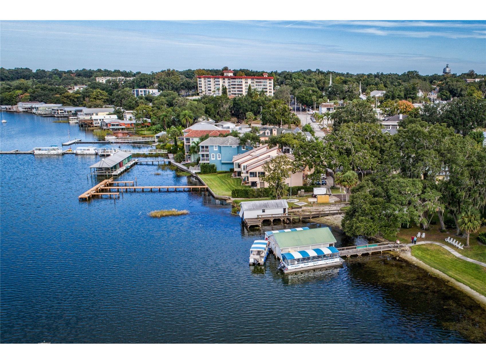 207 Pinecrest Road Mount Dora FL 32757 G5113072 image36