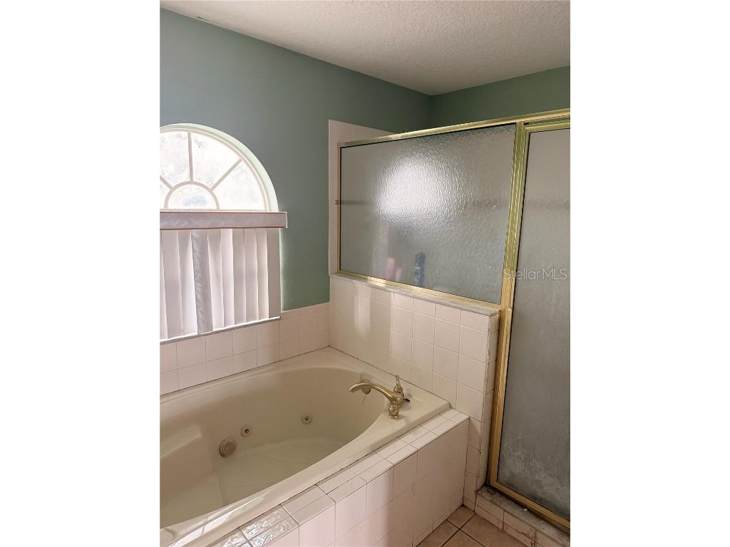 207 Redwood Bark Trail Kissimmee FL 34758 O6364507 image10