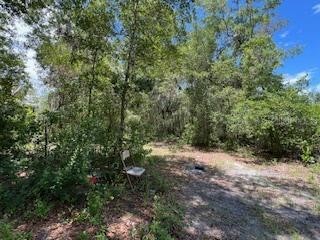 207 Ridge Street Pomona Park FL 32181 TB8404303 image4