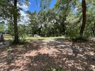 207 Ridge Street Pomona Park FL 32181 TB8404303 image8