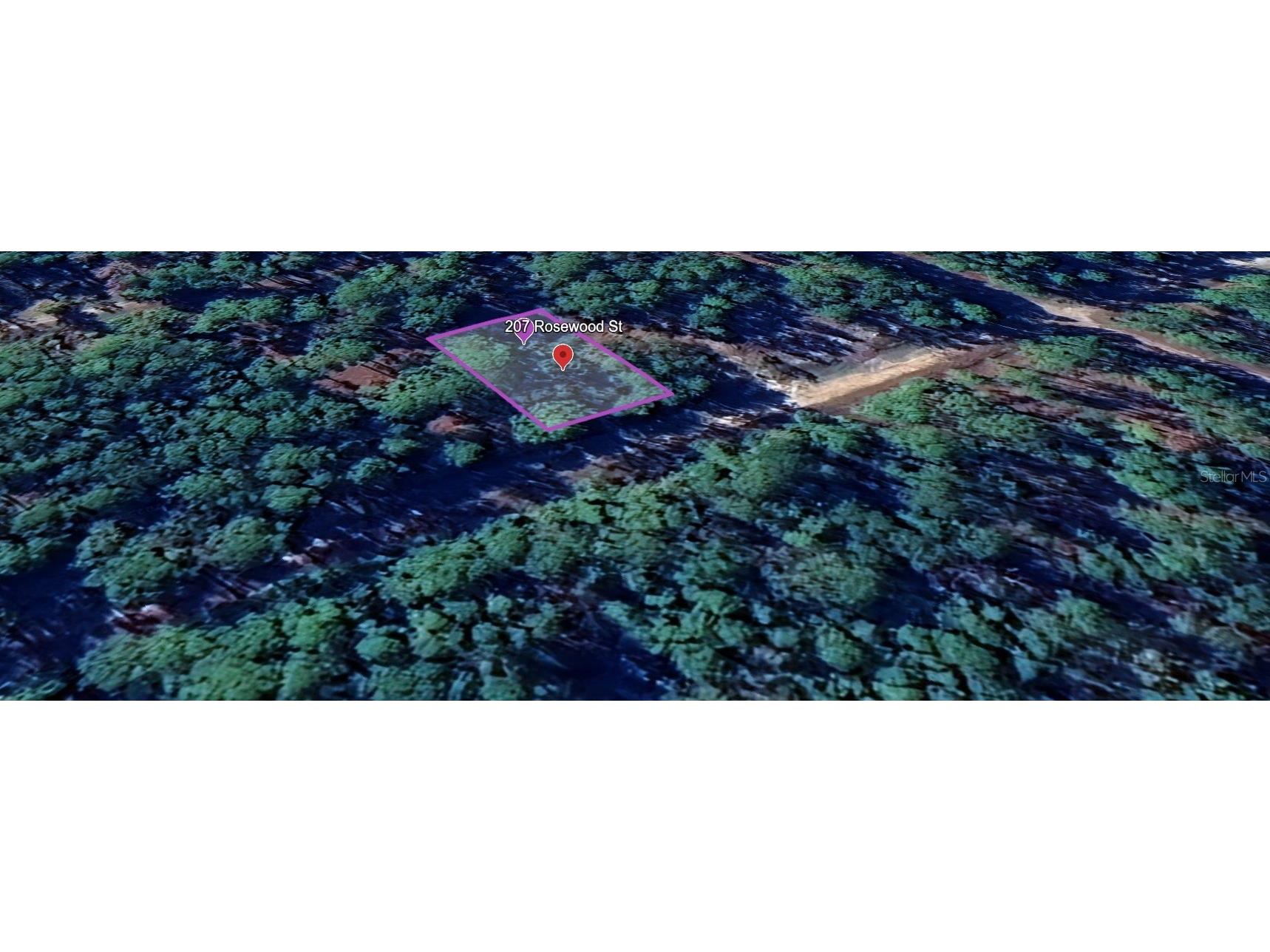 207 Rosewood Street Georgetown FL 32139 GC535681 image1