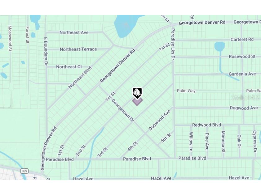 207 SE 2nd Street Georgetown FL 32139 FC318738 image4