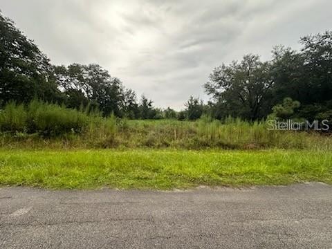 207 Starling Court Poinciana FL 34759 O6352482 image1