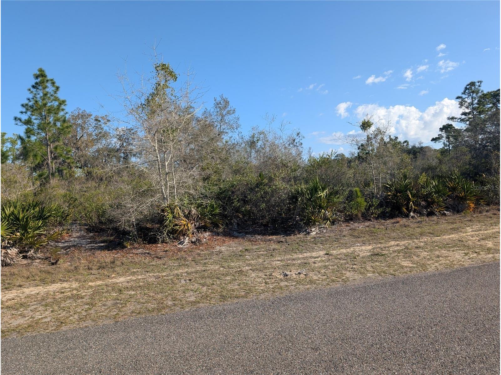 207 Valencia Drive Indian Lake Estates FL 33855 - LAKE WALK-IN-WATER P4938142 image2