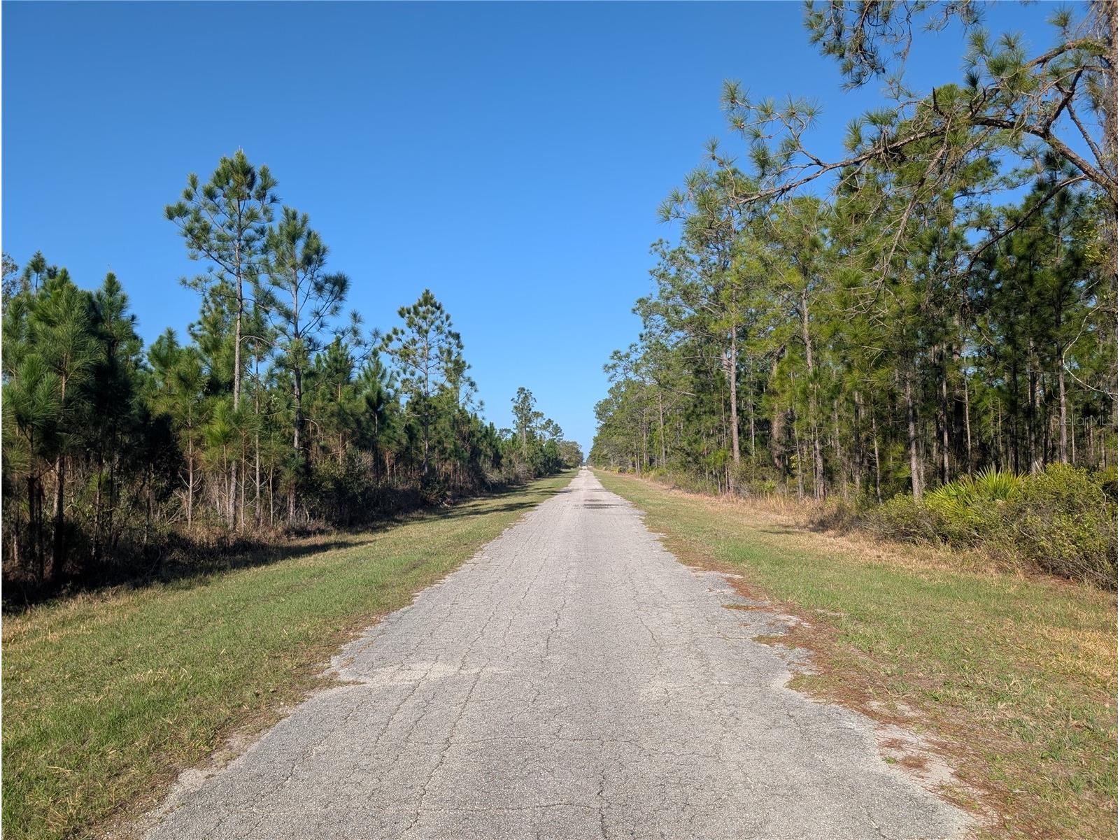 207 Valencia Drive Indian Lake Estates FL 33855 - LAKE WALK-IN-WATER P4938142 image3