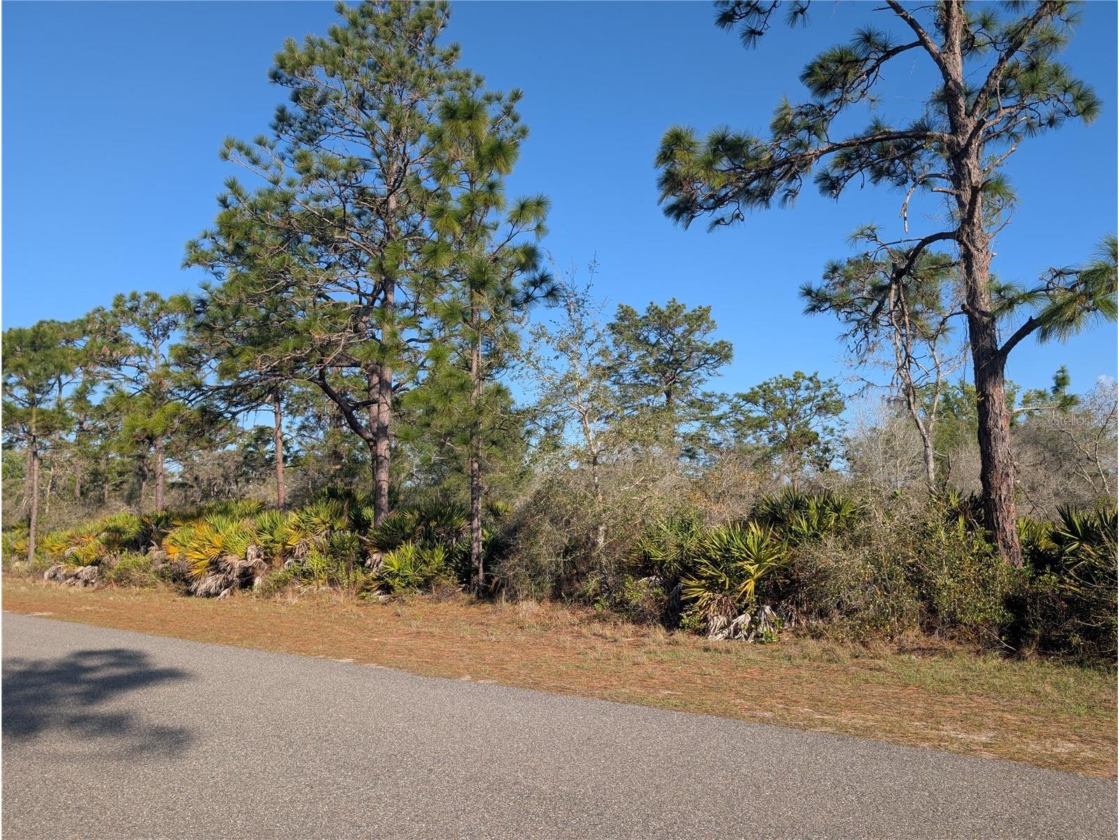 207 Valencia Drive Indian Lake Estates FL 33855 - LAKE WALK-IN-WATER P4938142 image4