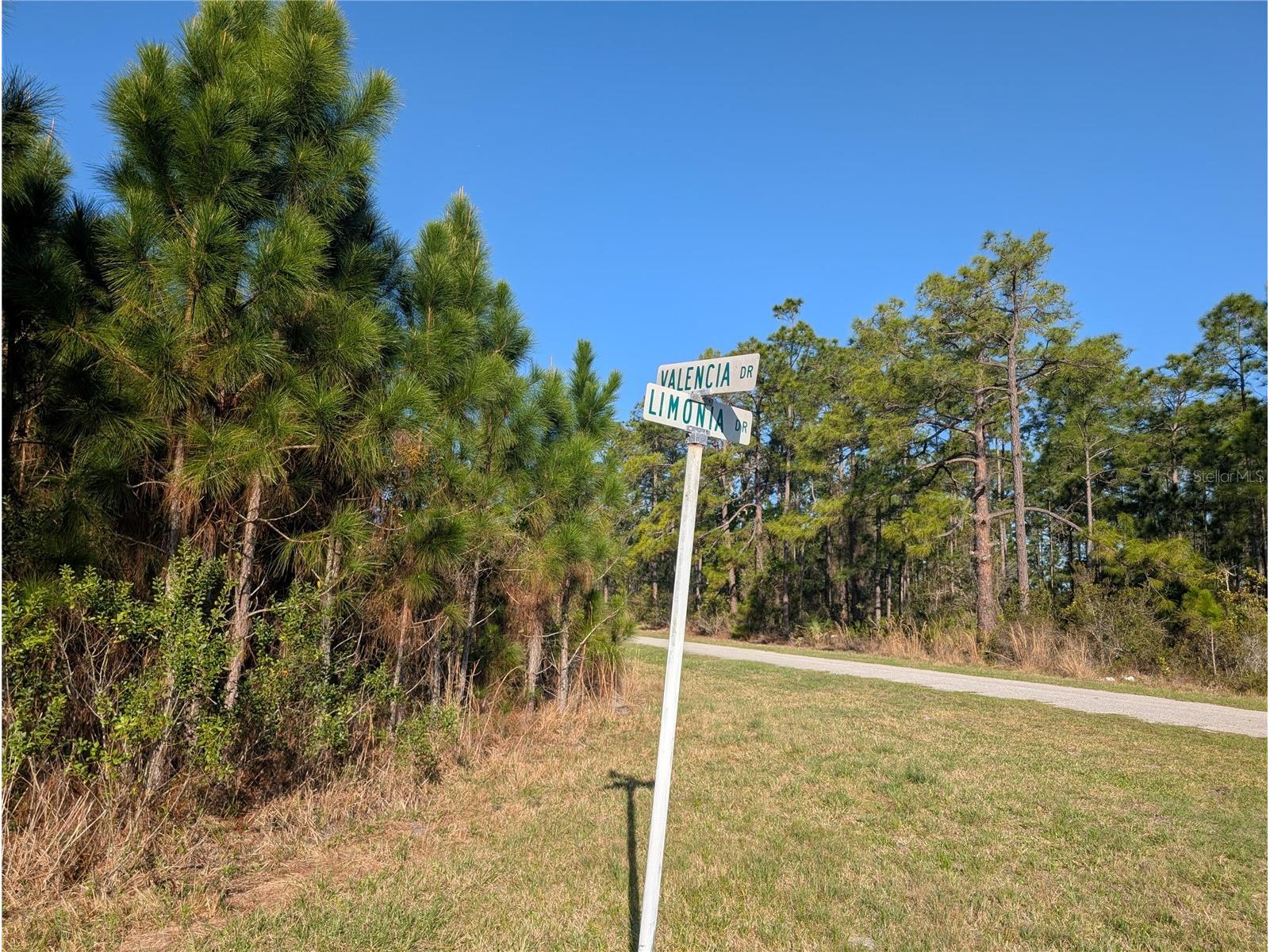 207 Valencia Drive Indian Lake Estates FL 33855 - LAKE WALK-IN-WATER P4938142 image46