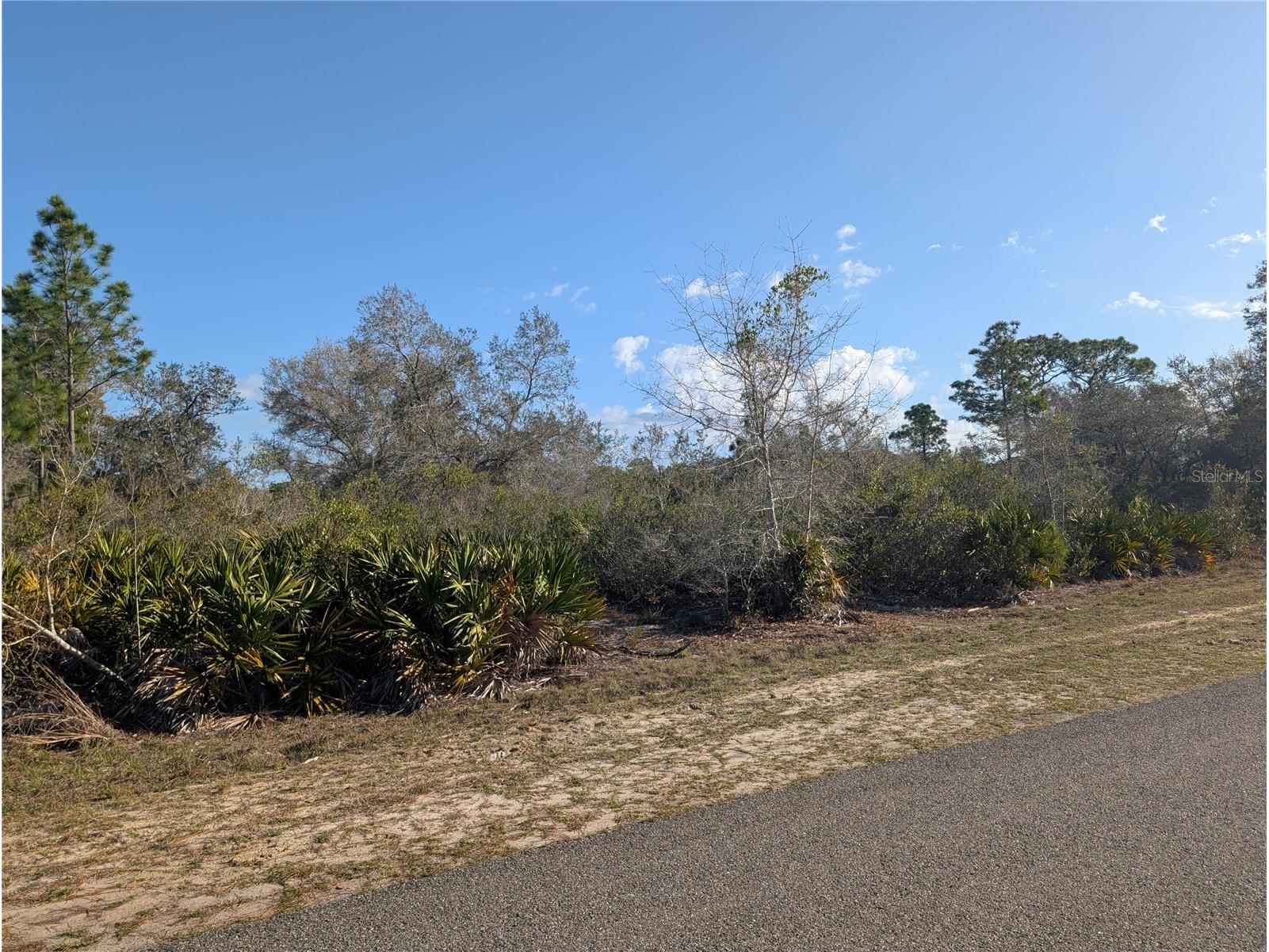 207 Valencia Drive Indian Lake Estates FL 33855 - LAKE WALK-IN-WATER P4938142 image6