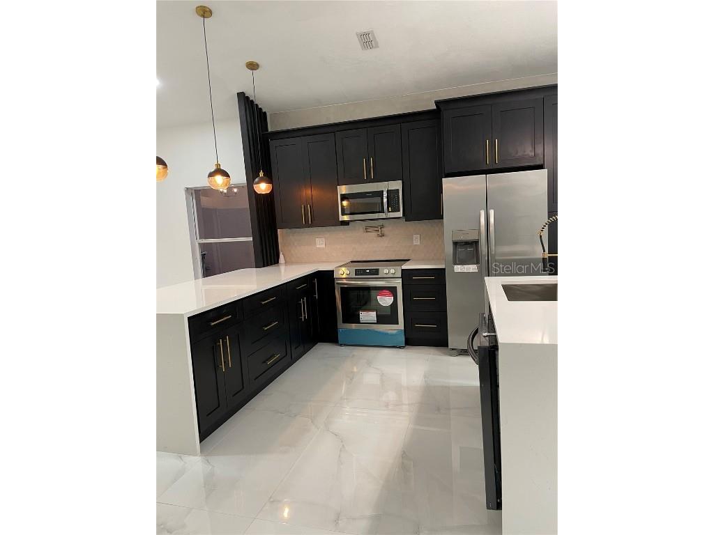 207 Vizcay Way Davenport FL 33837 S5139483 image3