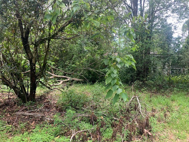 207 W Kelly Park Road Apopka FL 32712 O6121385 image1