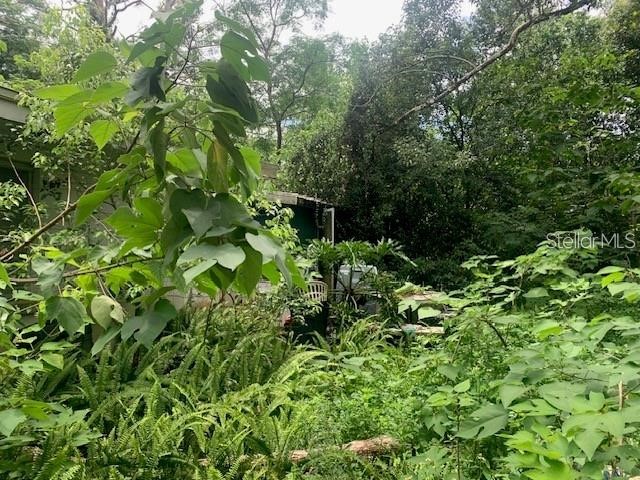 207 W Kelly Park Road Apopka FL 32712 O6125571 image1