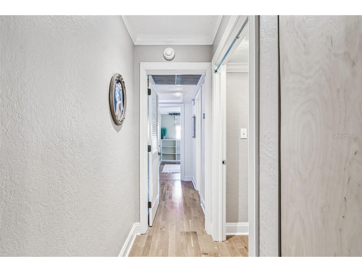 207 Willowick Avenue Temple Terrace FL 33617 TB8439408 image26