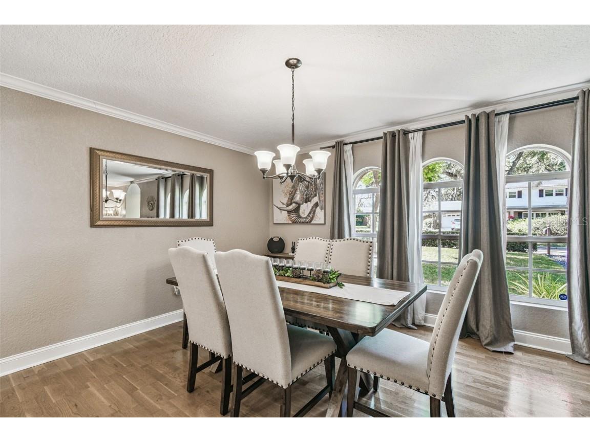 207 Willowick Avenue Temple Terrace FL 33617 TB8439408 image4