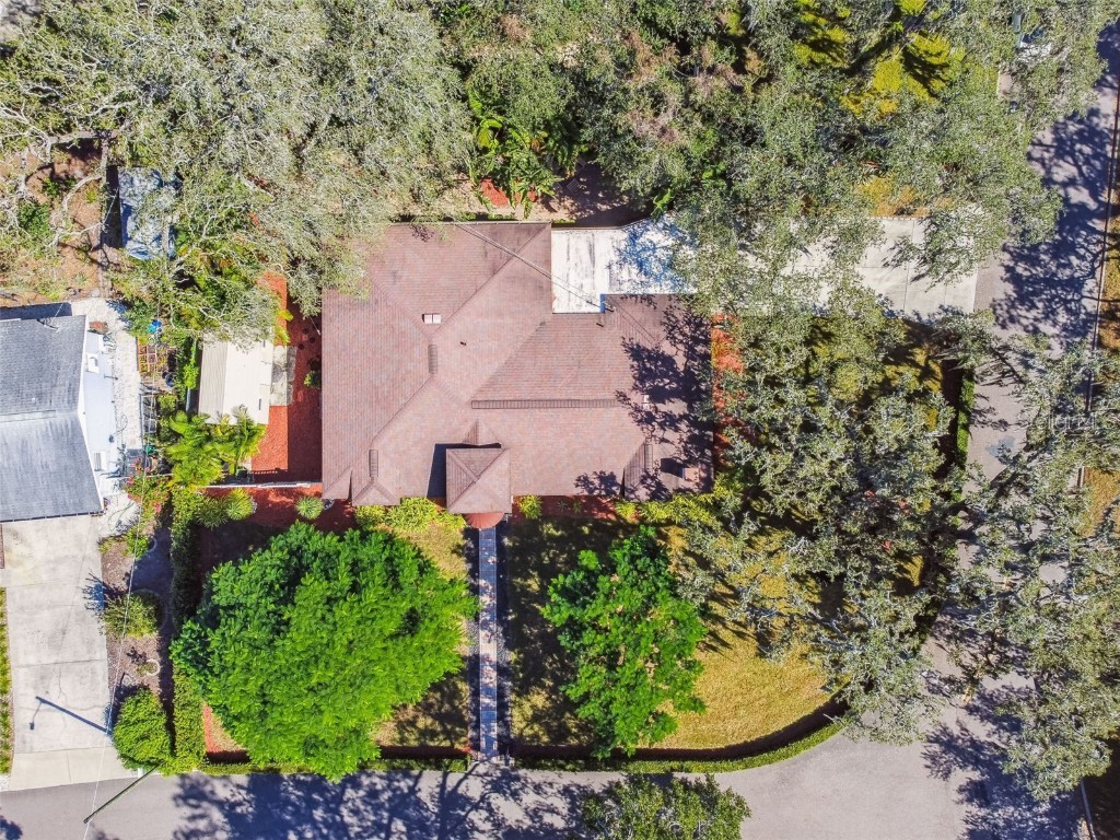 207 Willowick Avenue Temple Terrace FL 33617 TB8439408 image48