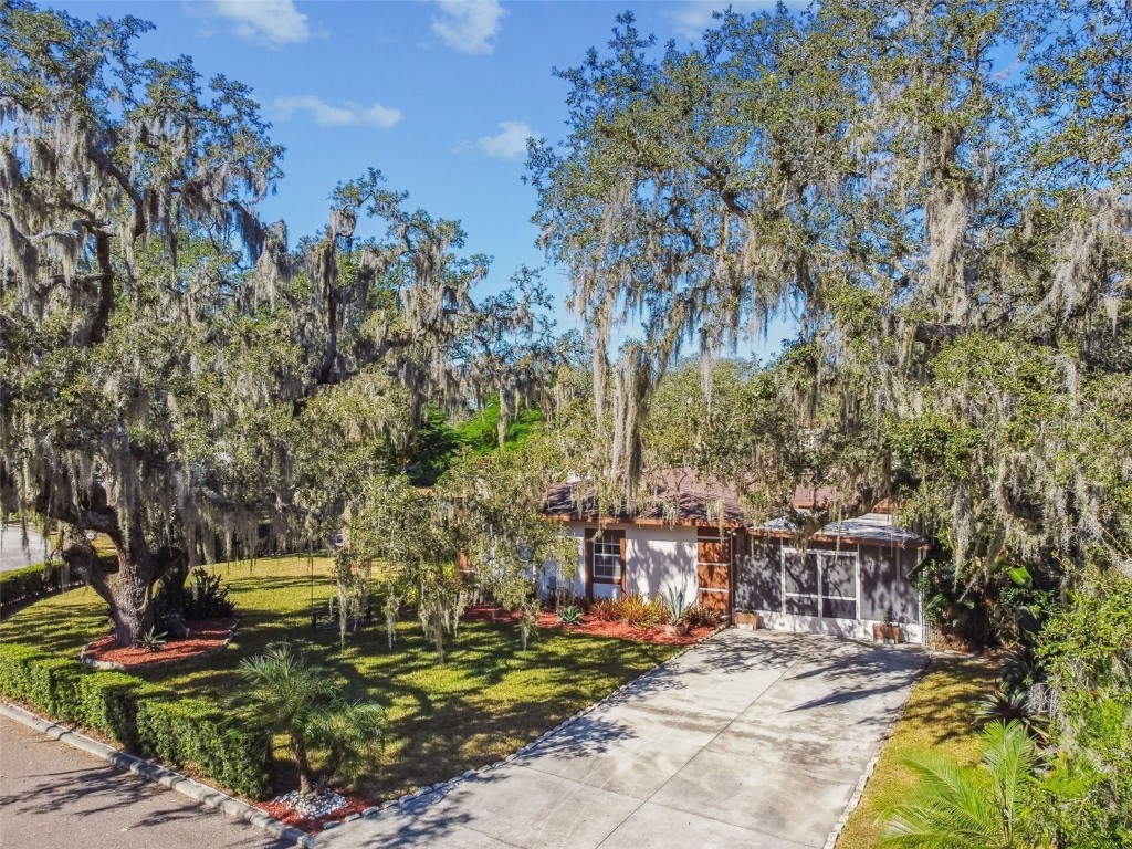 207 Willowick Avenue Temple Terrace FL 33617 TB8439408 image53