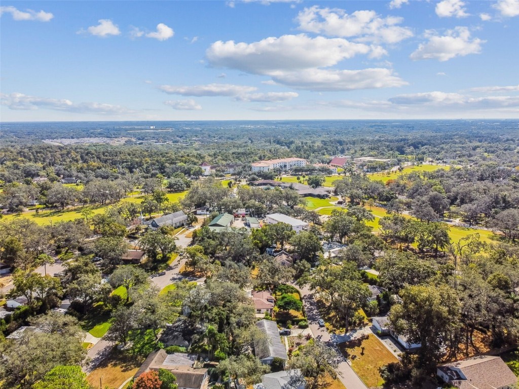 207 Willowick Avenue Temple Terrace FL 33617 TB8439408 image55