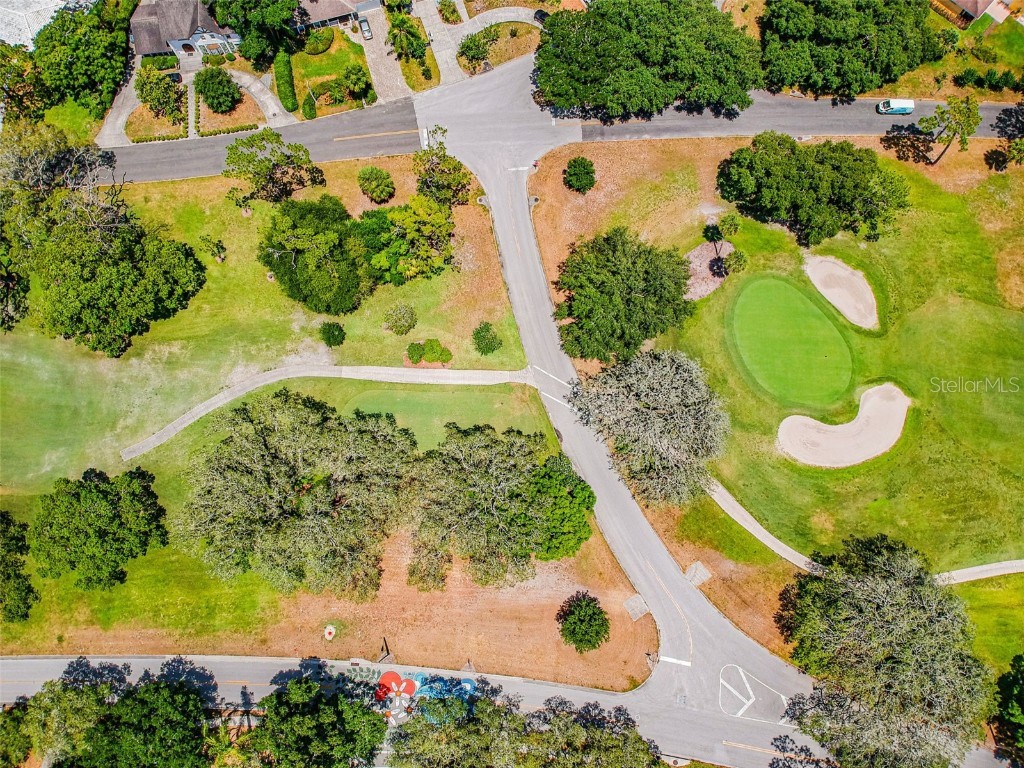 207 Willowick Avenue Temple Terrace FL 33617 TB8439408 image58