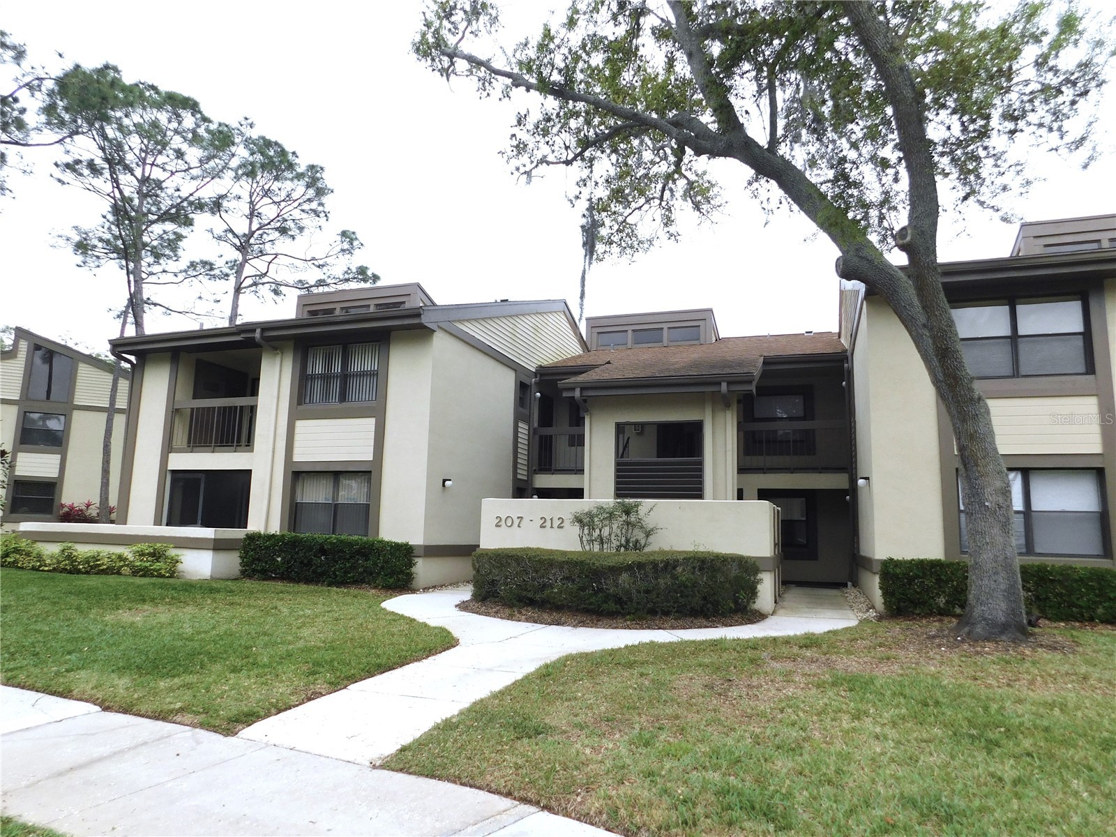207 Woodlake Wynde #207 Oldsmar FL 34677 TB8496771 image1