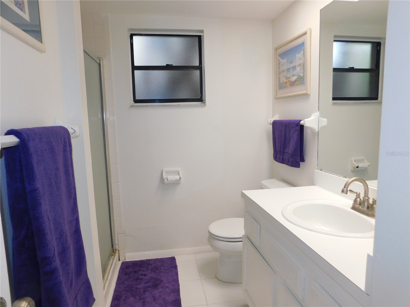 207 Woodlake Wynde #207 Oldsmar FL 34677 TB8496771 image16