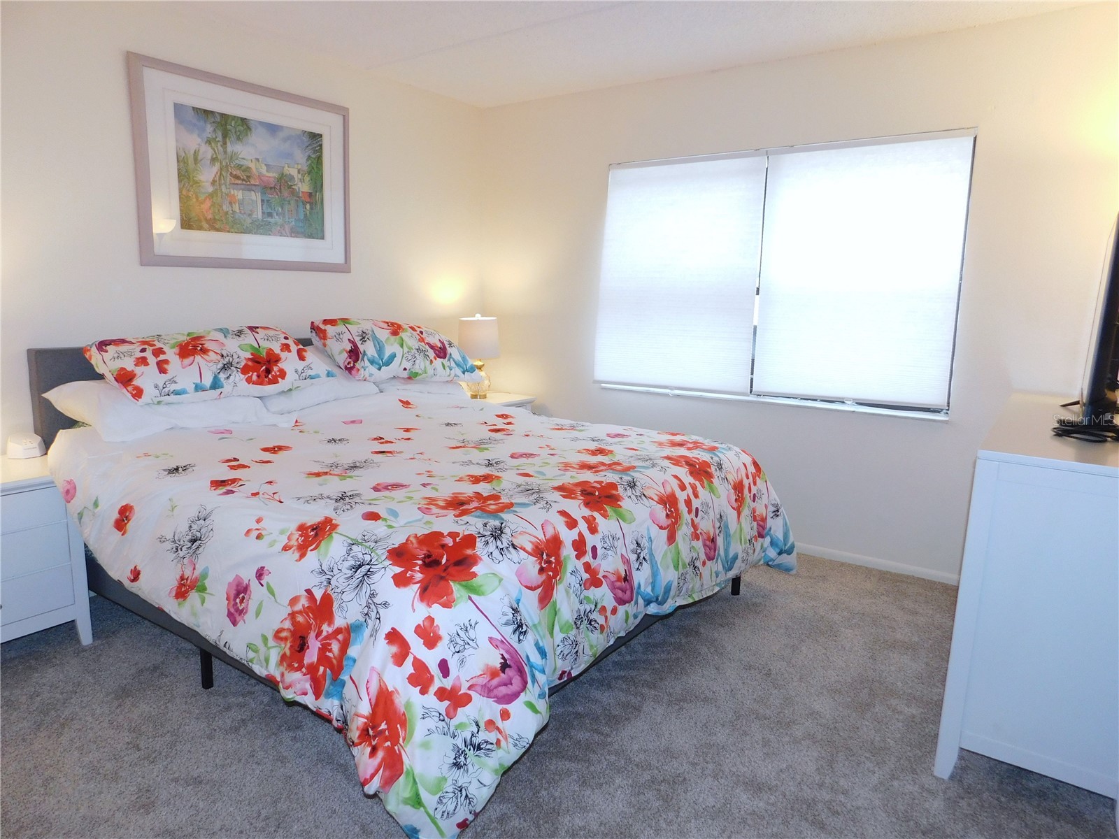 207 Woodlake Wynde #207 Oldsmar FL 34677 TB8496771 image19