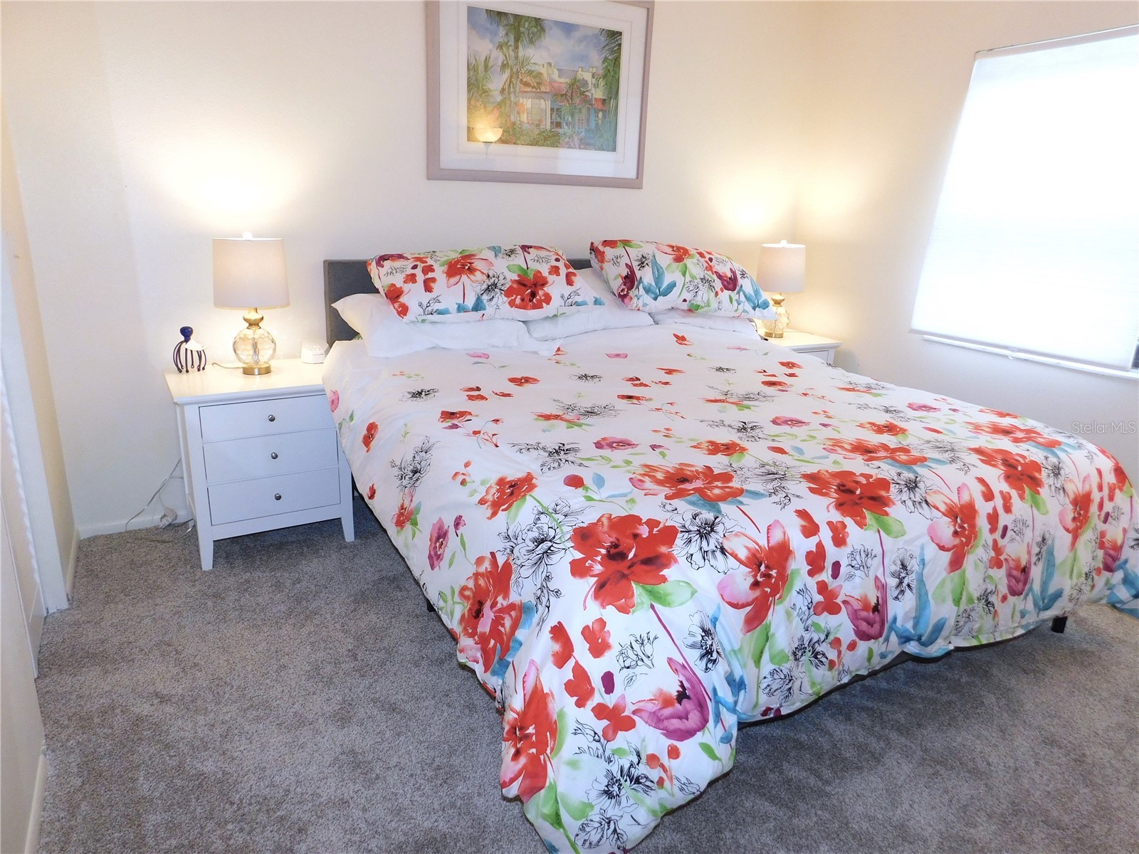 207 Woodlake Wynde #207 Oldsmar FL 34677 TB8496771 image20