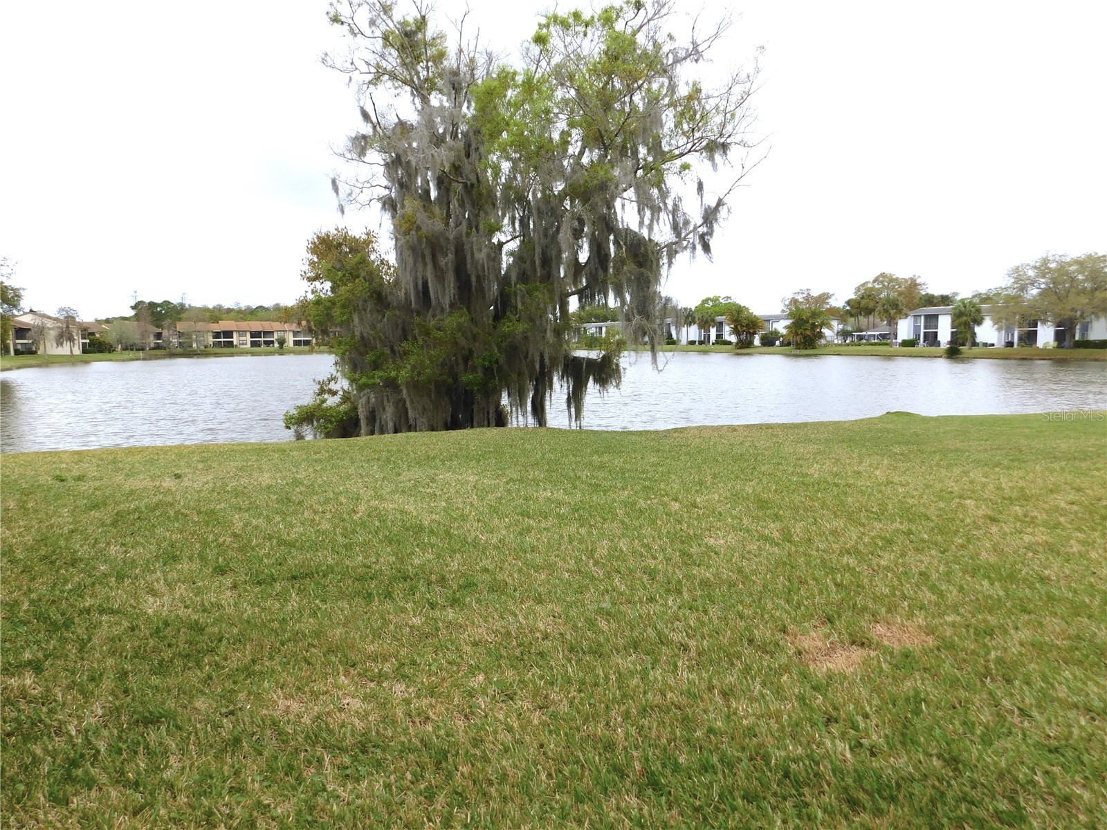 207 Woodlake Wynde #207 Oldsmar FL 34677 TB8496771 image22