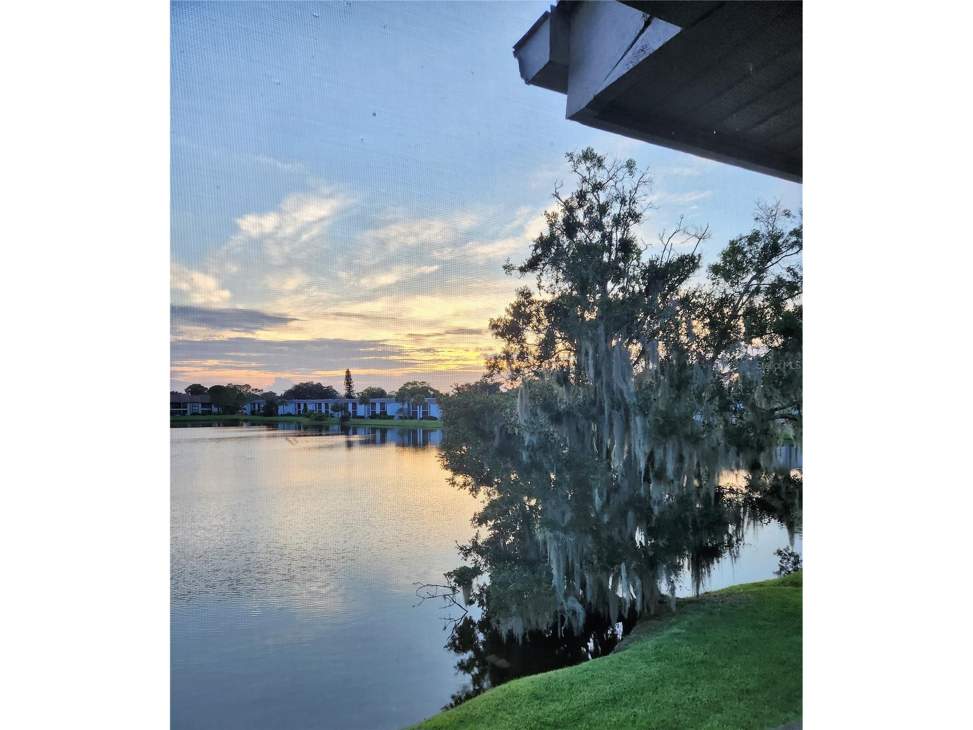 207 Woodlake Wynde #207 Oldsmar FL 34677 TB8496771 image29