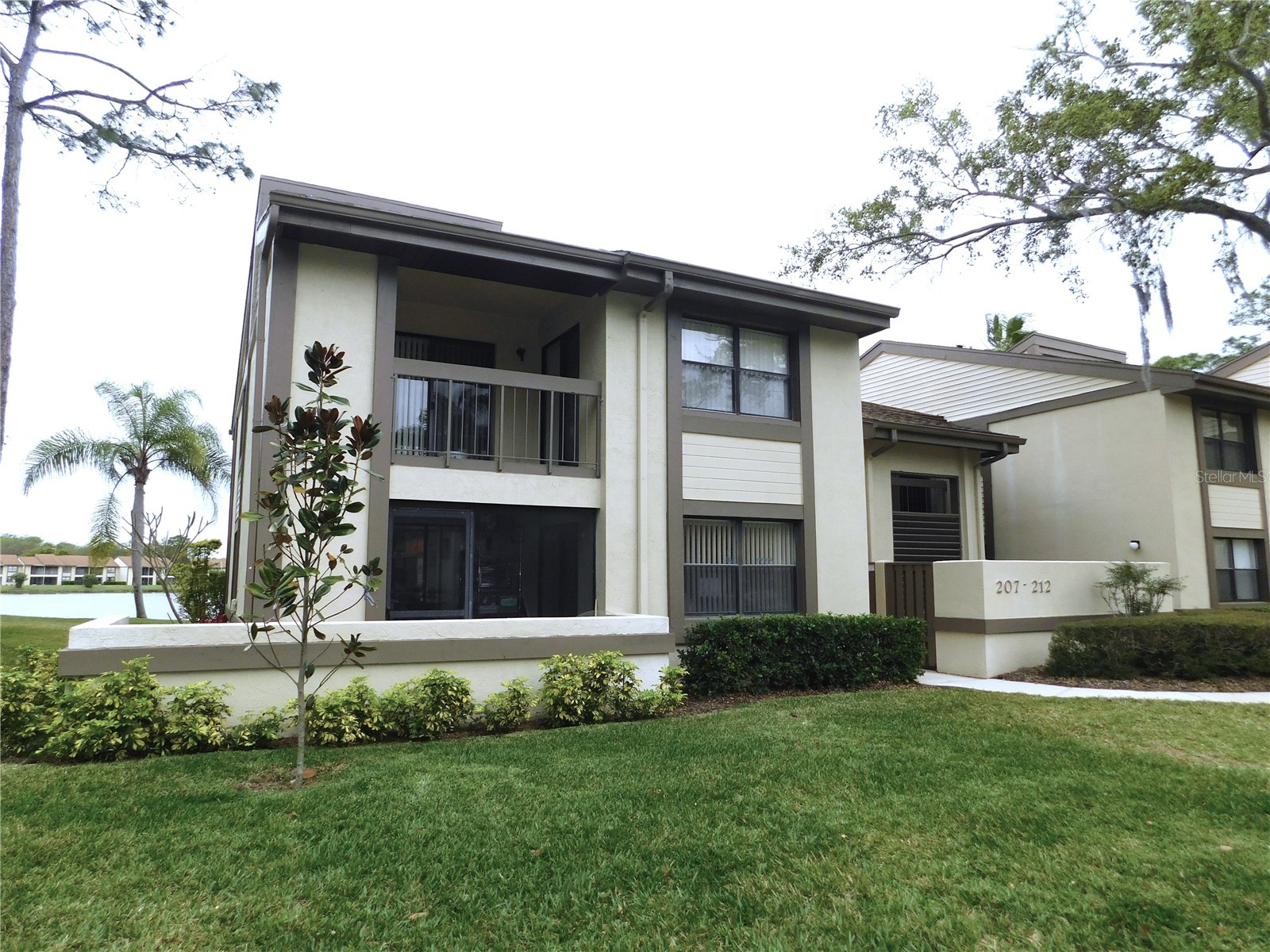 207 Woodlake Wynde #207 Oldsmar FL 34677 TB8496771 image3