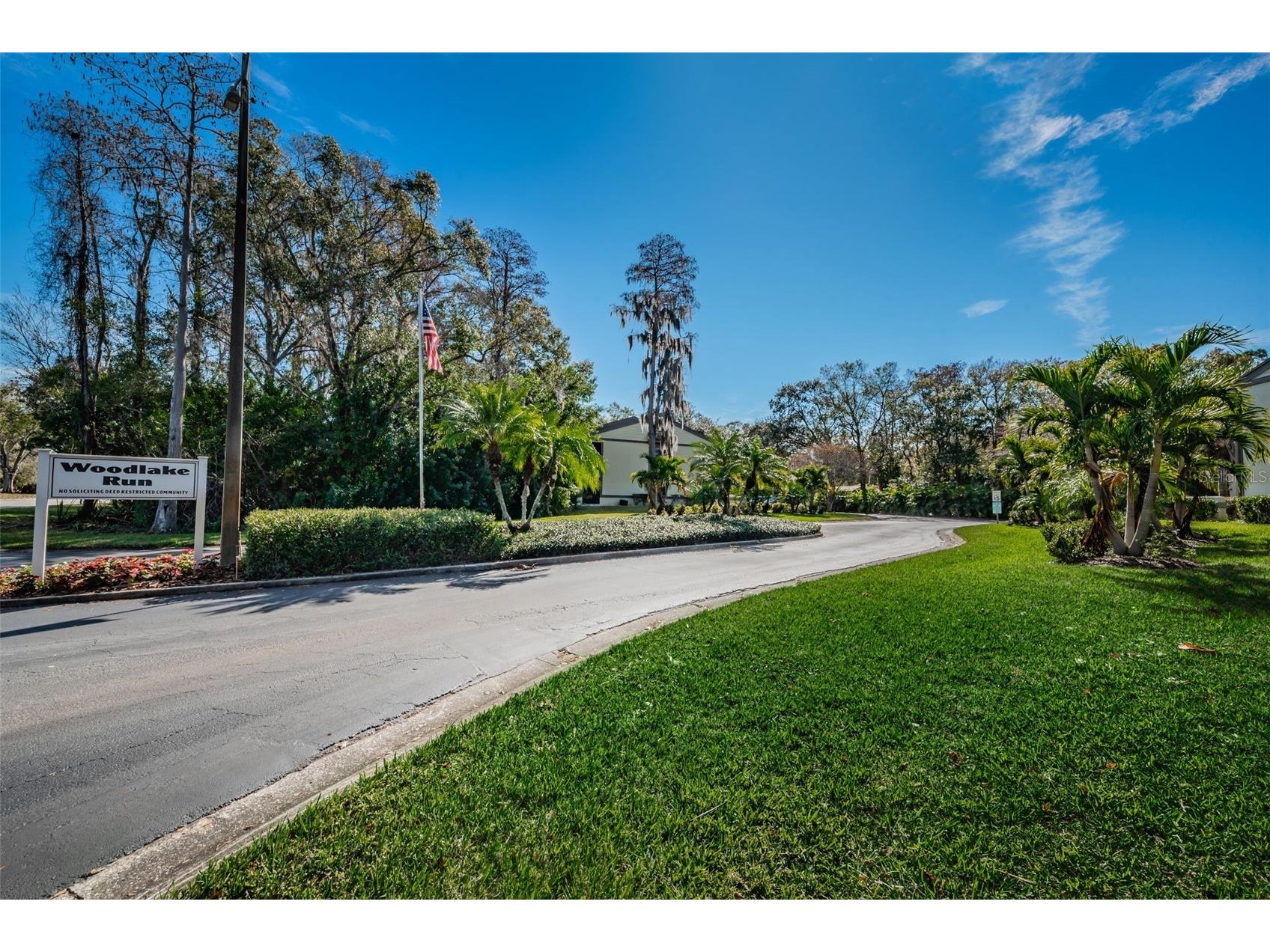 207 Woodlake Wynde #207 Oldsmar FL 34677 TB8496771 image31