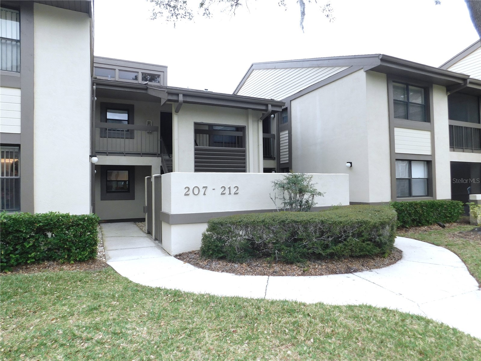 207 Woodlake Wynde #207 Oldsmar FL 34677 TB8496771 image4