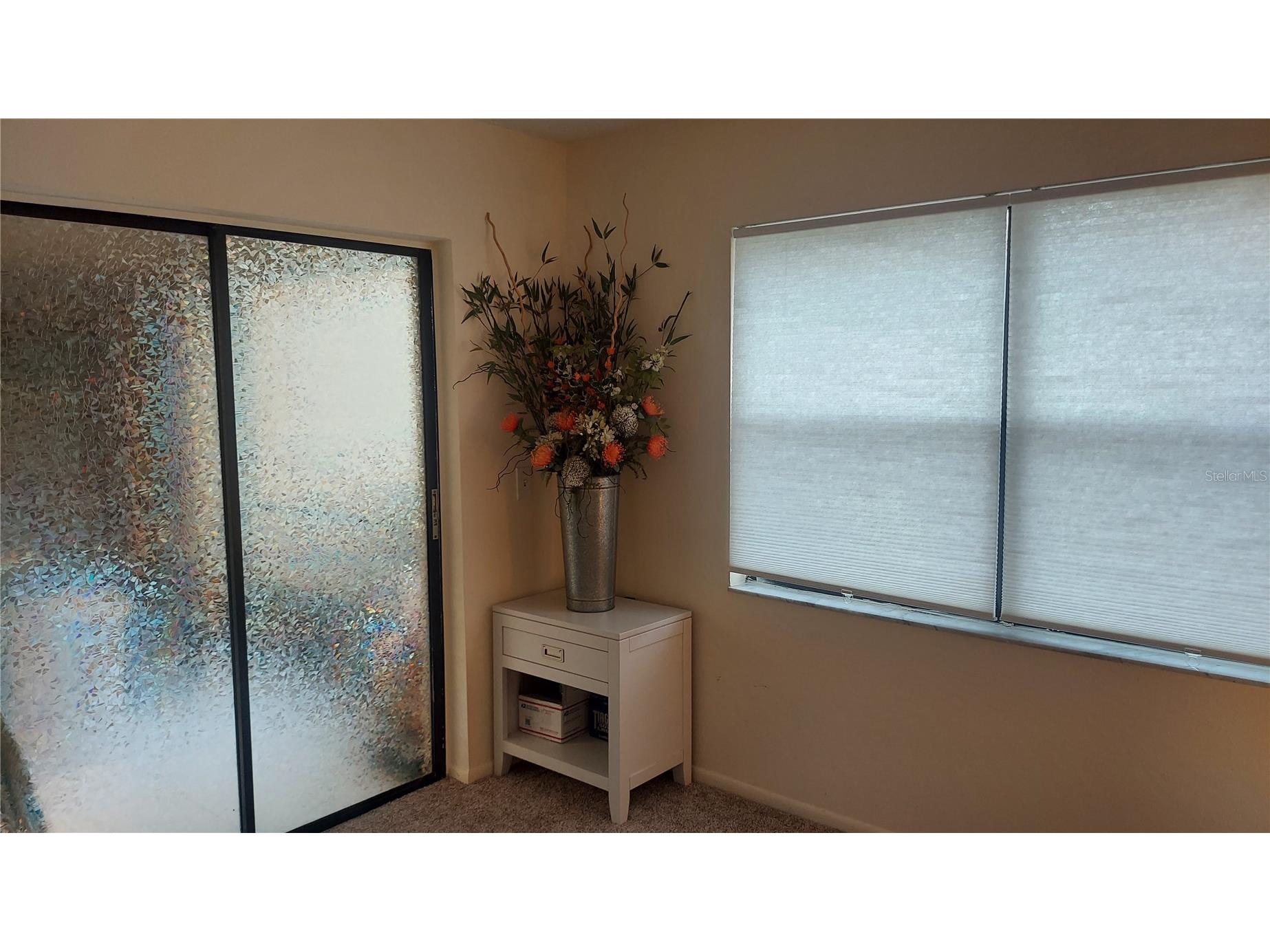 207 Woodlake Wynde #207 Oldsmar FL 34677 TB8496771 image7