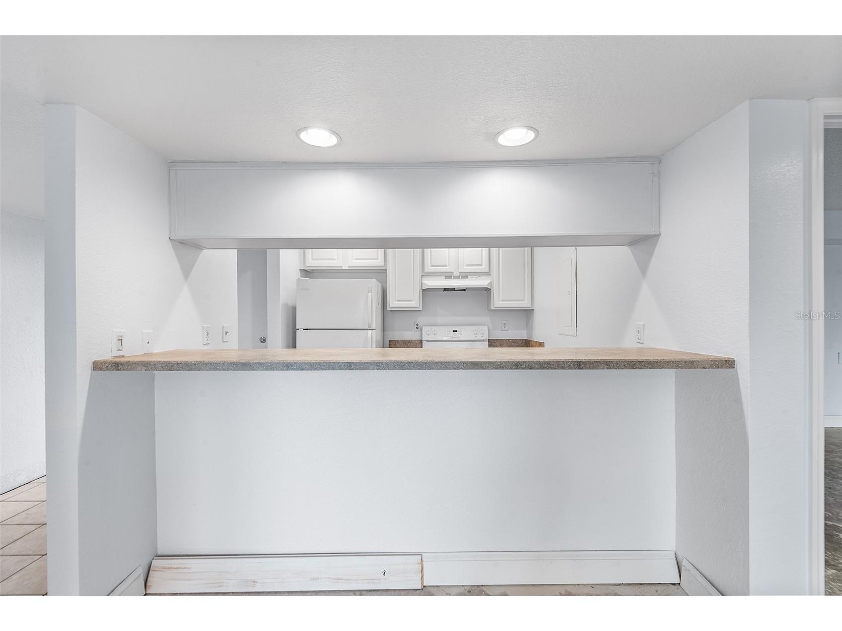 2070/2071 Corner Lake Drive #AB Haines City FL 33844 P4938021 image8
